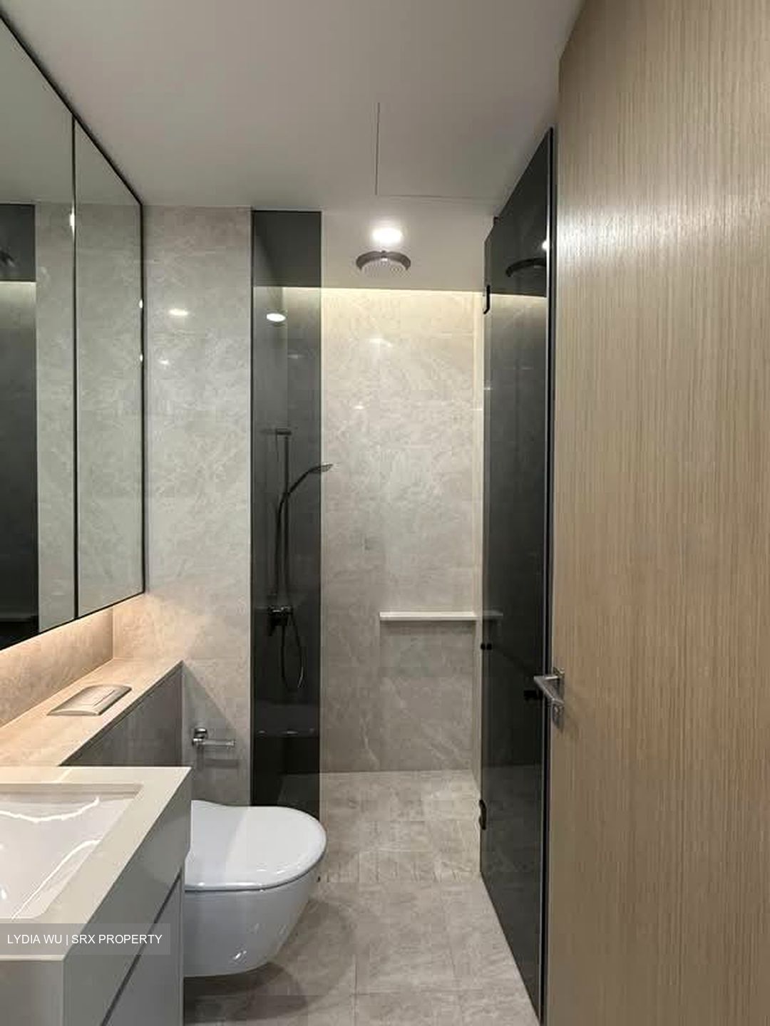 Amber Park (D15), Condominium #564489811